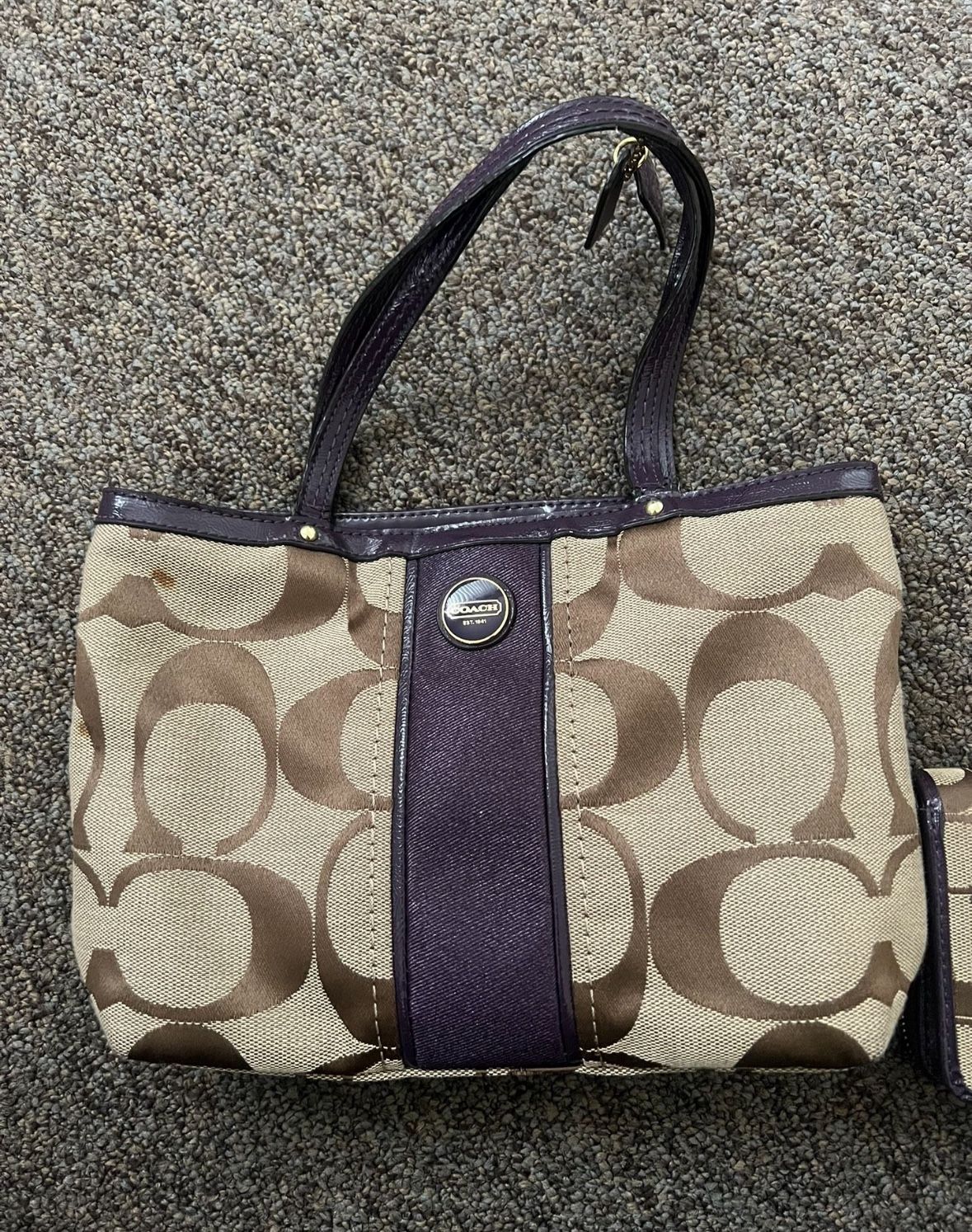 Coach Tote Bag + Wallet