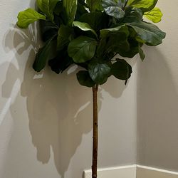 FEJKA - Artificial Fiddle Lead Fig, indoor/outdoor