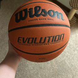 wilson evolution basketball