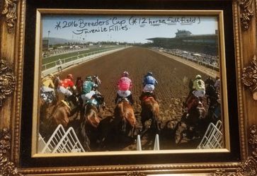 2016 Breeders' Cup Juvenile Fillies Framed Photo