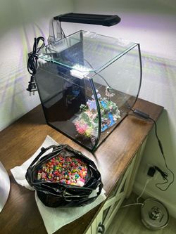 Small Glass Aquarium Tank with LED Light
