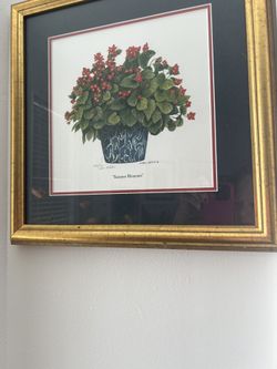 Two Geranium Pictures