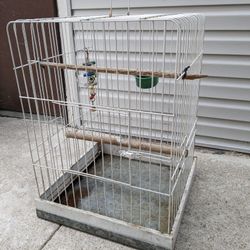 Parrot Cage