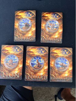 5 piece copper coin set