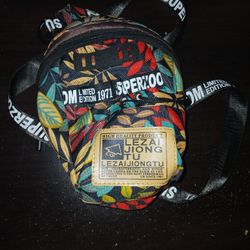 Multicolored Sling Bag