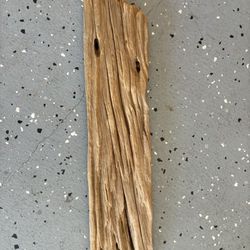 Driftwood 