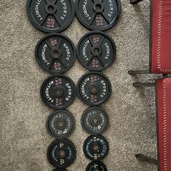 Weight Set And Wall Mount For Weights
