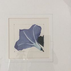 Picture Frame w Blue Get Flower $10  Yonkers 10710