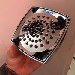 Moen  Voss Shower Head