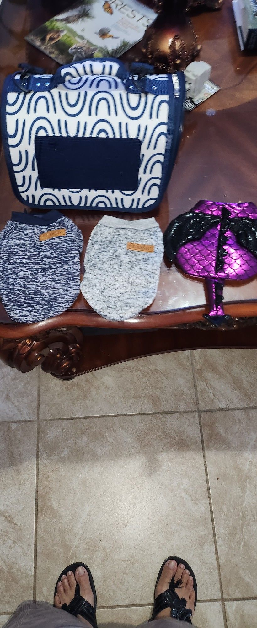 Pet carrier with 2 sweaters and a Halloween costume