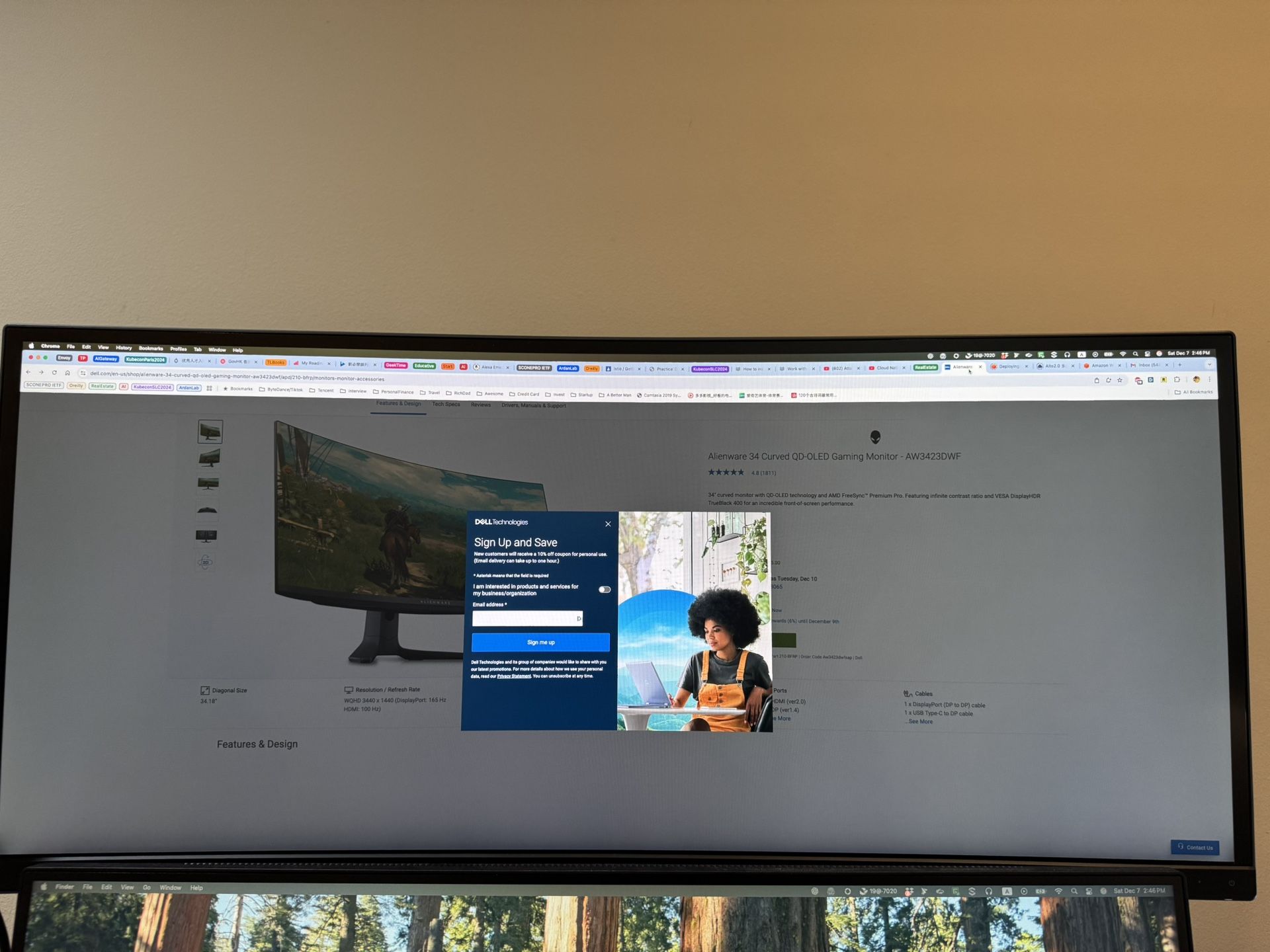 34 Inch Dell Minotor