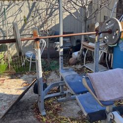 Bench, dum bells, Nd Weights