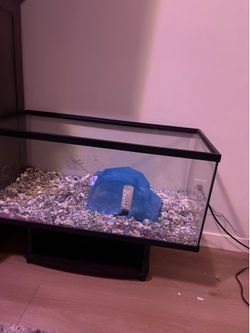 40 GALLON TANK