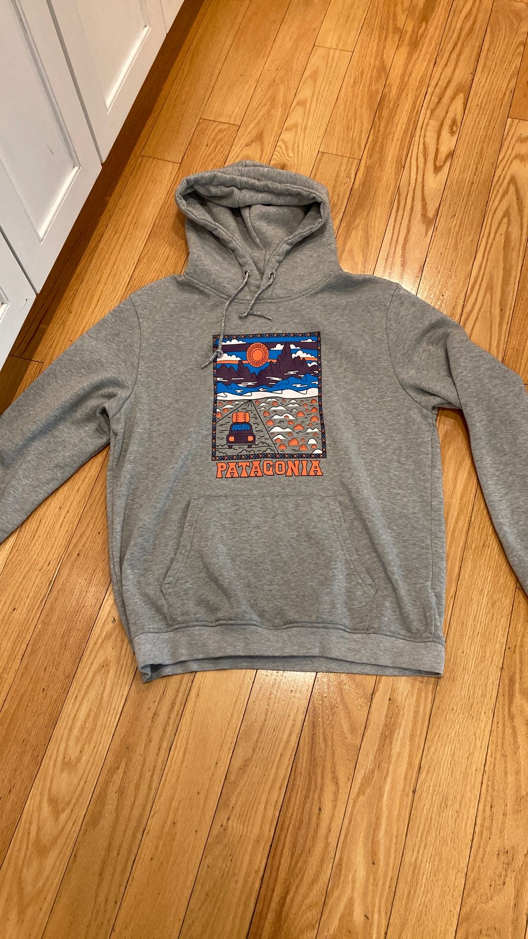 PATAGONIA MENS s S/L