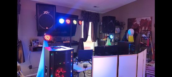 Professional DJ party system