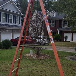 10ft Ladder