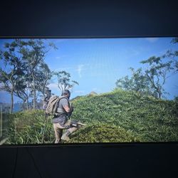 Vizio 55 Inch TV