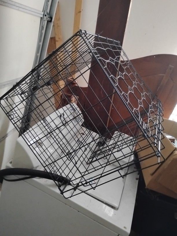 Dog Kennel