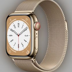 Apple 8 SERIES 45mm Stainsteel