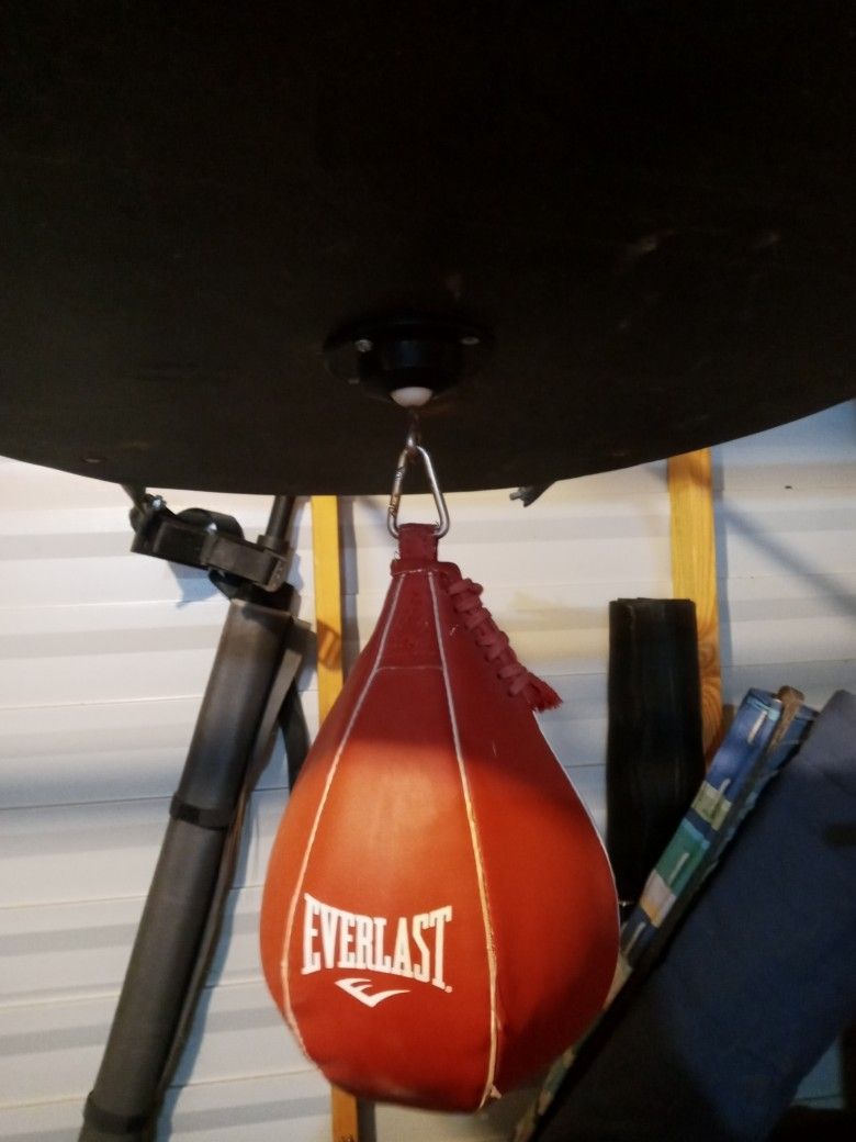 Everlast Wall Mounted Speed Bag