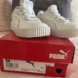 Pacer Future Prismatic Pumas