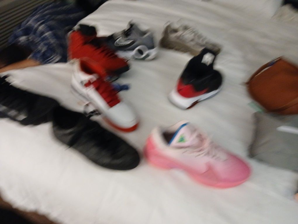 eleven and a half to twelve and a half SHOES