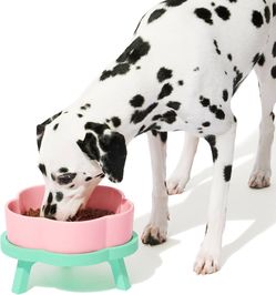 VETRESKA Elevated Dog Bowls Large, 64OZ Ceramic Raised Dog Bowl with Bamboo Stand, Flower-Shaped Food Water Bowl, Pet Feeding Dish Bowls for Medium/La
