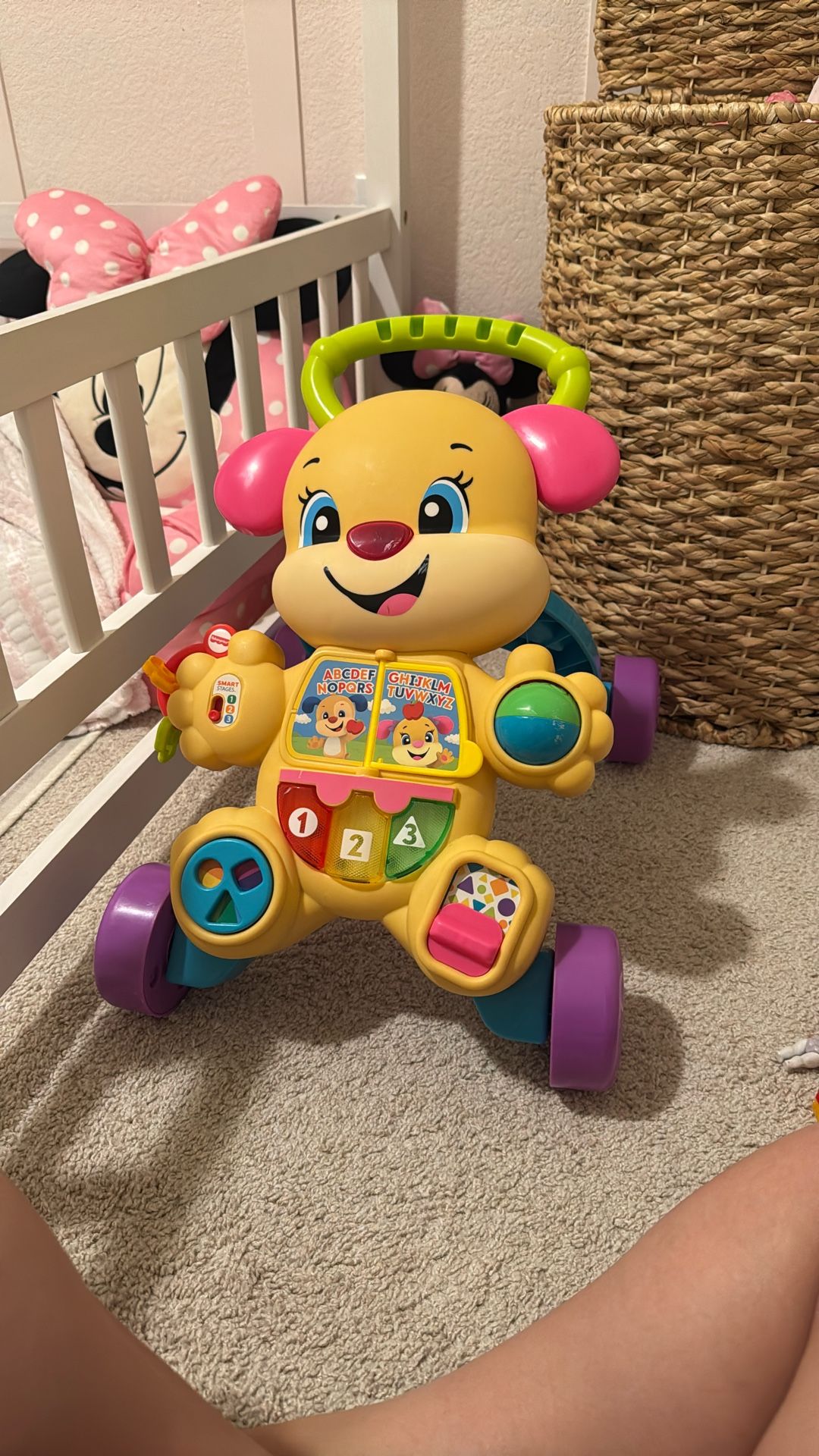 Toddler Walker