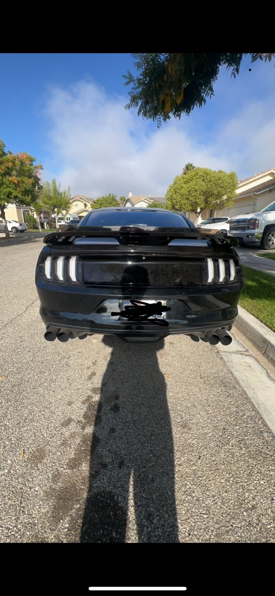 EURO TAILLIGHTS 2018+ Style