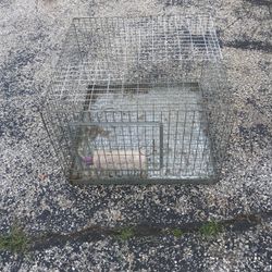 Pet Cage