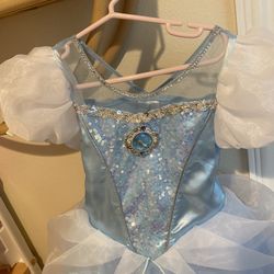 Disney Cinderella Gown