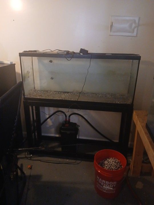 55 Gallon Fish Tank 
