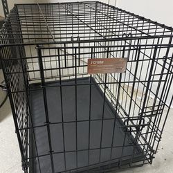 Dog Crate 