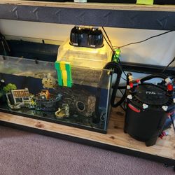 90 Gallon Aquarium, Accessories, and Turtle 🐢 