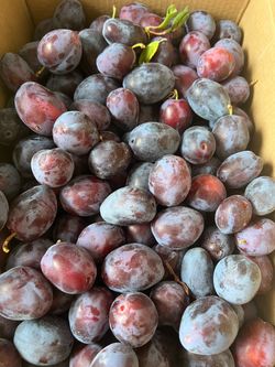 Fresh Organic Sugar Plums $5