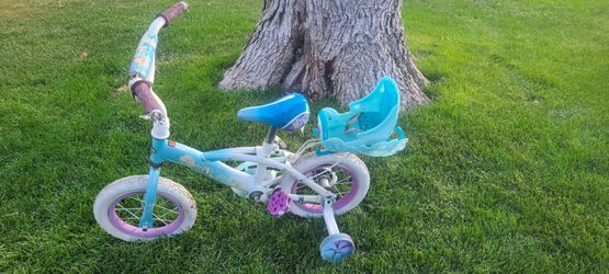 Frozen Themed Bike