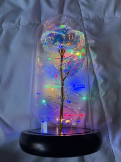 LED Galaxy Rose Glass Dome Light