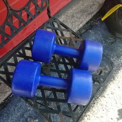 Nice pair of 8 lb weights