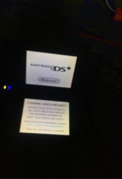 Nintendo DS i