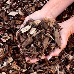 Wanted: taking free mulch from arborist
