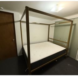 Gold Twin Sized Bed Frame