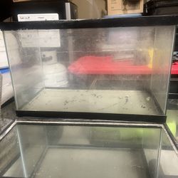 10 Gallon Fish Tank