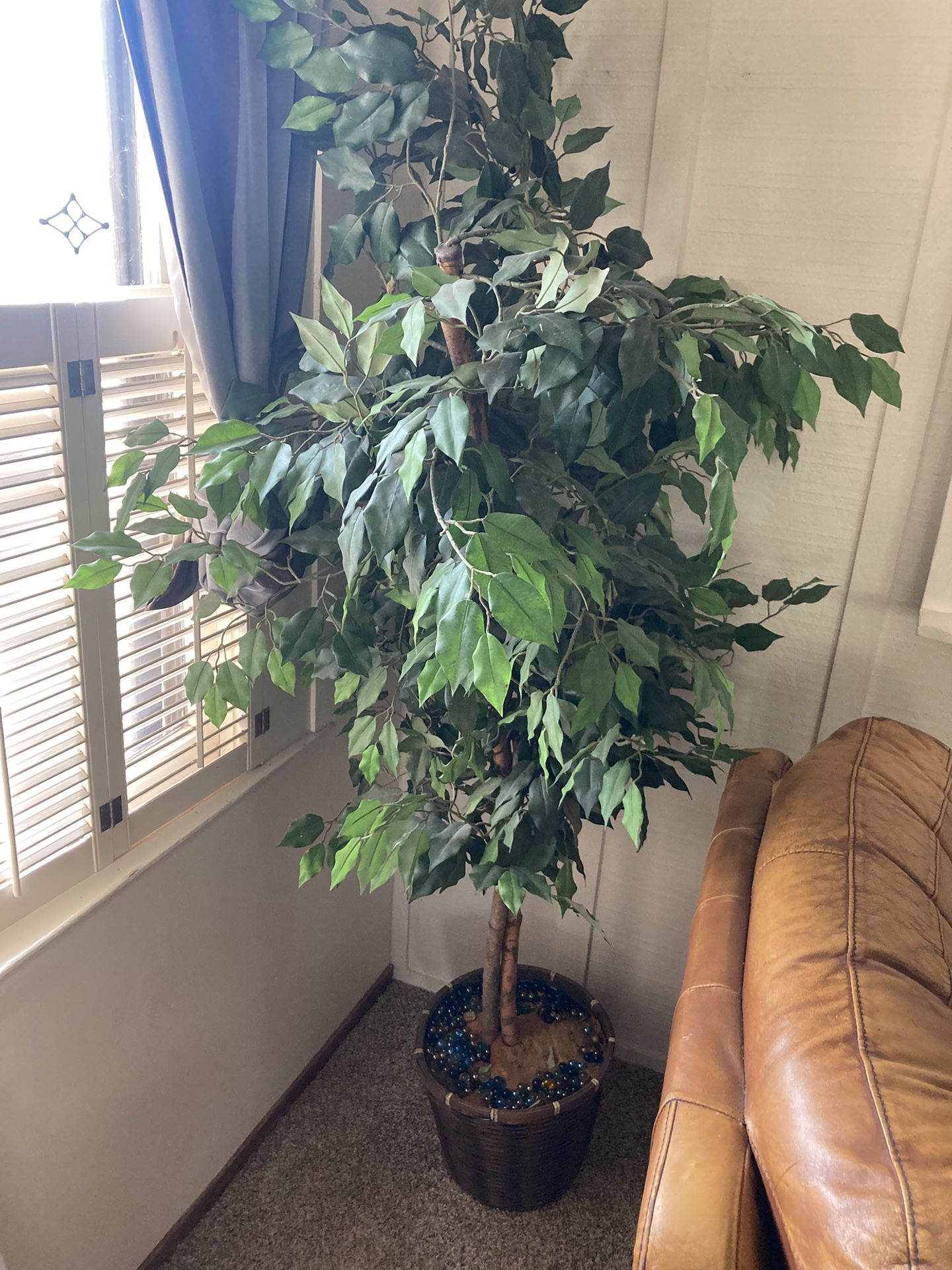 Beautiful Fake Indoor Plant