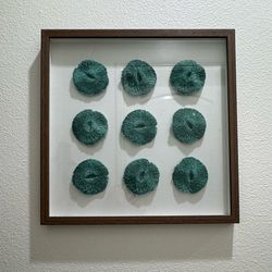 Coastal/Home Decor Mushroom Coral Display in 20” x 20” Shadow Box