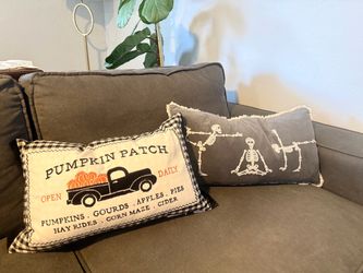 2 reversible fall pillows for total $10