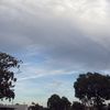 Leo Azucena