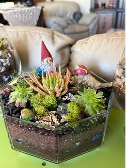 Handmade Terrariums