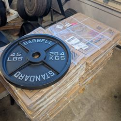 45 Lb Olympic 2 Inch Weights 