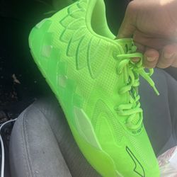 Melo 1 Puma 