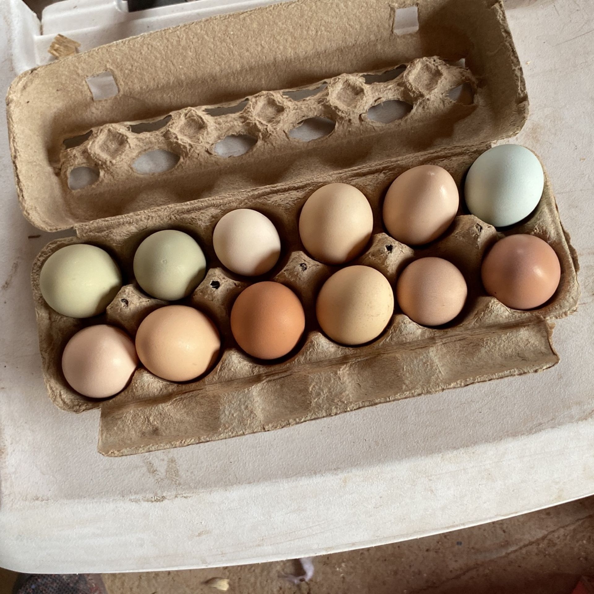 Organic Ranch Eggs